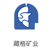 J9直营集团合作同伴：藏格矿业